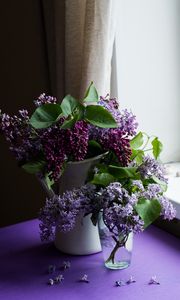 Preview wallpaper lilac, bouquets, flowers, purple