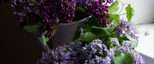 Preview wallpaper lilac, bouquets, flowers, purple