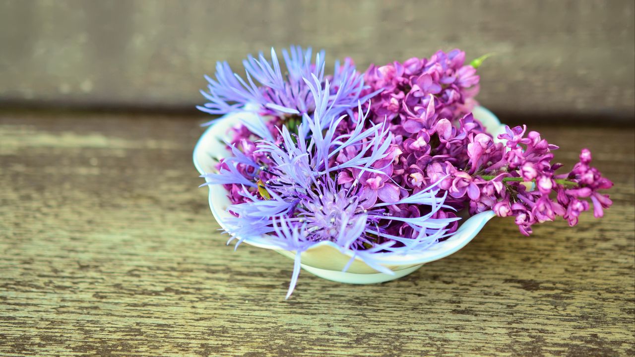 Wallpaper lilac, cornflower, flowers, decoration