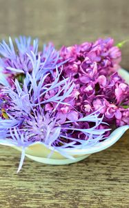 Preview wallpaper lilac, cornflower, flowers, decoration