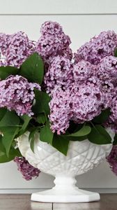 Preview wallpaper lilac, flower, spring, vase, leaves