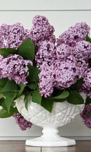 Preview wallpaper lilac, flower, spring, vase, leaves