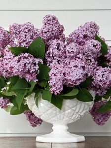 Preview wallpaper lilac, flower, spring, vase, leaves