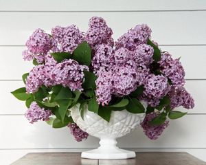 Preview wallpaper lilac, flower, spring, vase, leaves