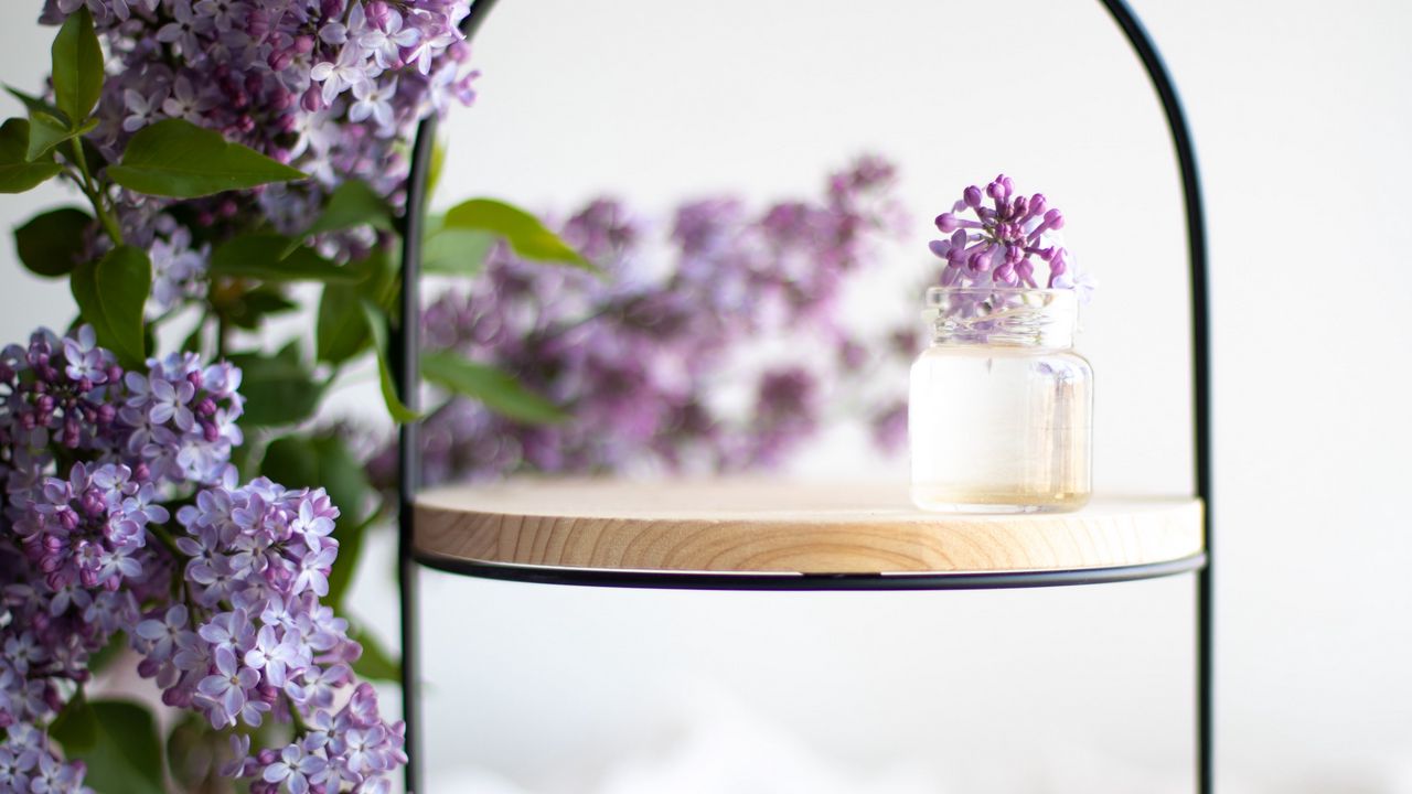 Wallpaper lilac, flowers, aesthetics