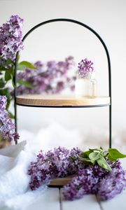 Preview wallpaper lilac, flowers, aesthetics