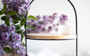 Preview wallpaper lilac, flowers, aesthetics