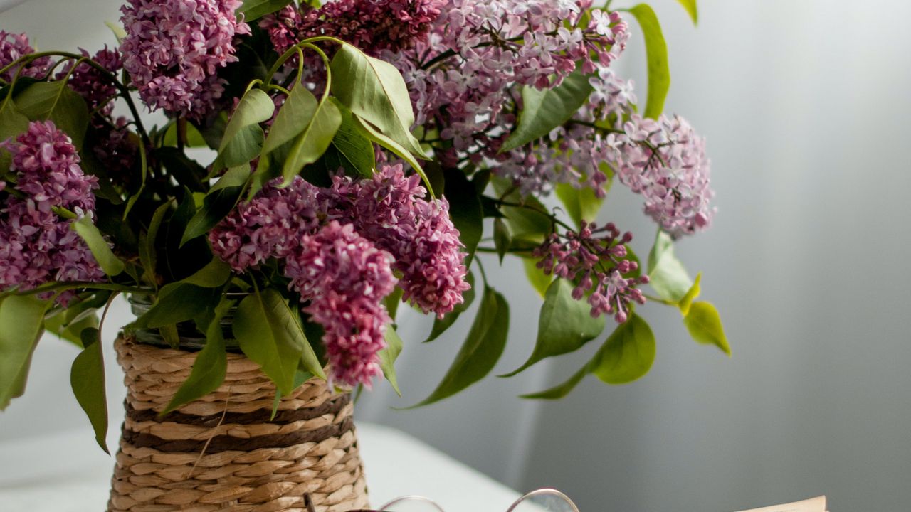 Wallpaper lilac, flowers, book, glasses