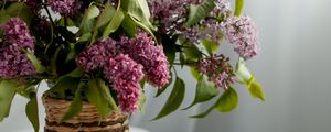 Preview wallpaper lilac, flowers, book, glasses