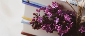 Preview wallpaper lilac, flowers, books, reading, aesthetics