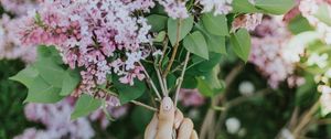 Preview wallpaper lilac, flowers, girl, hands, tattoo