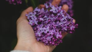 Preview wallpaper lilac, flowers, hand