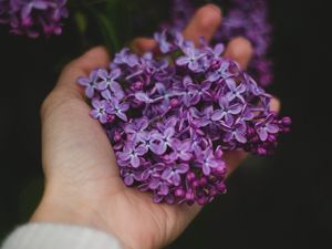 Preview wallpaper lilac, flowers, hand