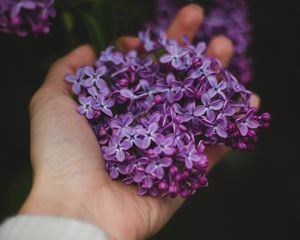 Preview wallpaper lilac, flowers, hand