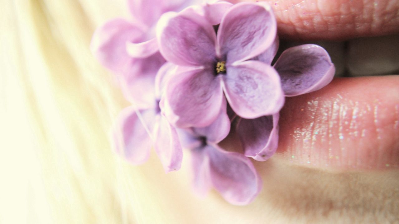 Wallpaper lilac, flowers, lips
