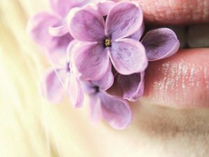 Preview wallpaper lilac, flowers, lips