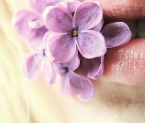 Preview wallpaper lilac, flowers, lips