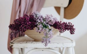 Preview wallpaper lilac, flowers, pot, chair, hats, aesthetics