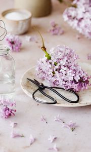 Preview wallpaper lilac, flowers, scissors