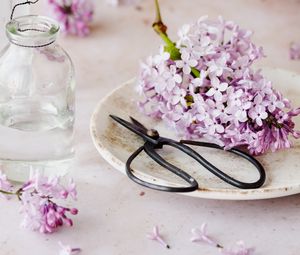 Preview wallpaper lilac, flowers, scissors