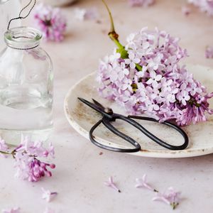 Preview wallpaper lilac, flowers, scissors