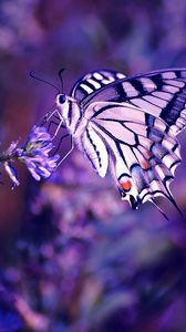 Preview wallpaper lilac, leaves, flowers, butterfly