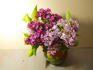 Preview wallpaper lilac, vase, leaves, spring