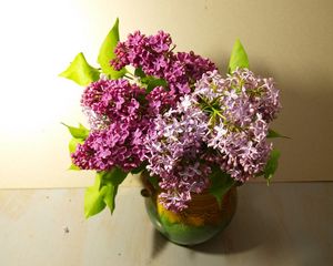 Preview wallpaper lilac, vase, leaves, spring