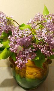 Preview wallpaper lilac, vase, spring, branch, bunch