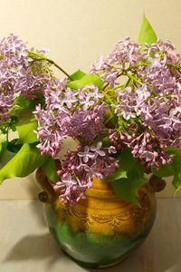 Preview wallpaper lilac, vase, spring, branch, bunch