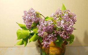 Preview wallpaper lilac, vase, spring, branch, bunch