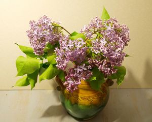 Preview wallpaper lilac, vase, spring, branch, bunch