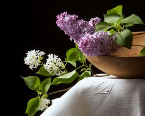 Preview wallpaper lilac, white, purple, bowl, cloth, black background