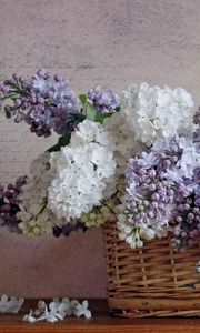 Preview wallpaper lilacs, bloom, spring, flower, basket, poetry