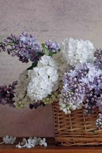 Preview wallpaper lilacs, bloom, spring, flower, basket, poetry