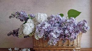 Preview wallpaper lilacs, bloom, spring, flower, basket, poetry