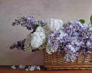 Preview wallpaper lilacs, bloom, spring, flower, basket, poetry