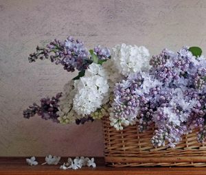 Preview wallpaper lilacs, bloom, spring, flower, basket, poetry