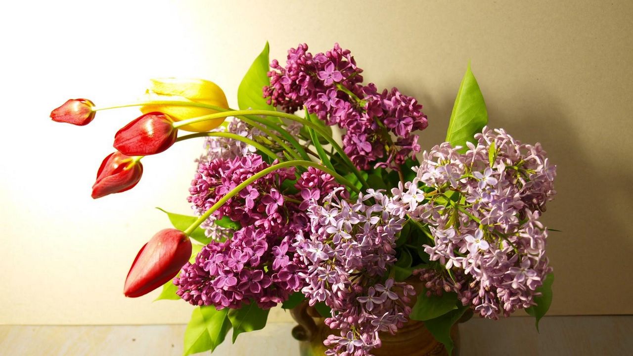 Wallpaper lilacs, bloom, tulips, spring