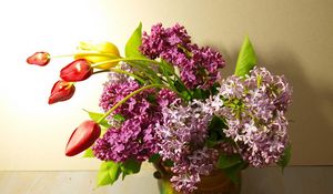 Preview wallpaper lilacs, bloom, tulips, spring