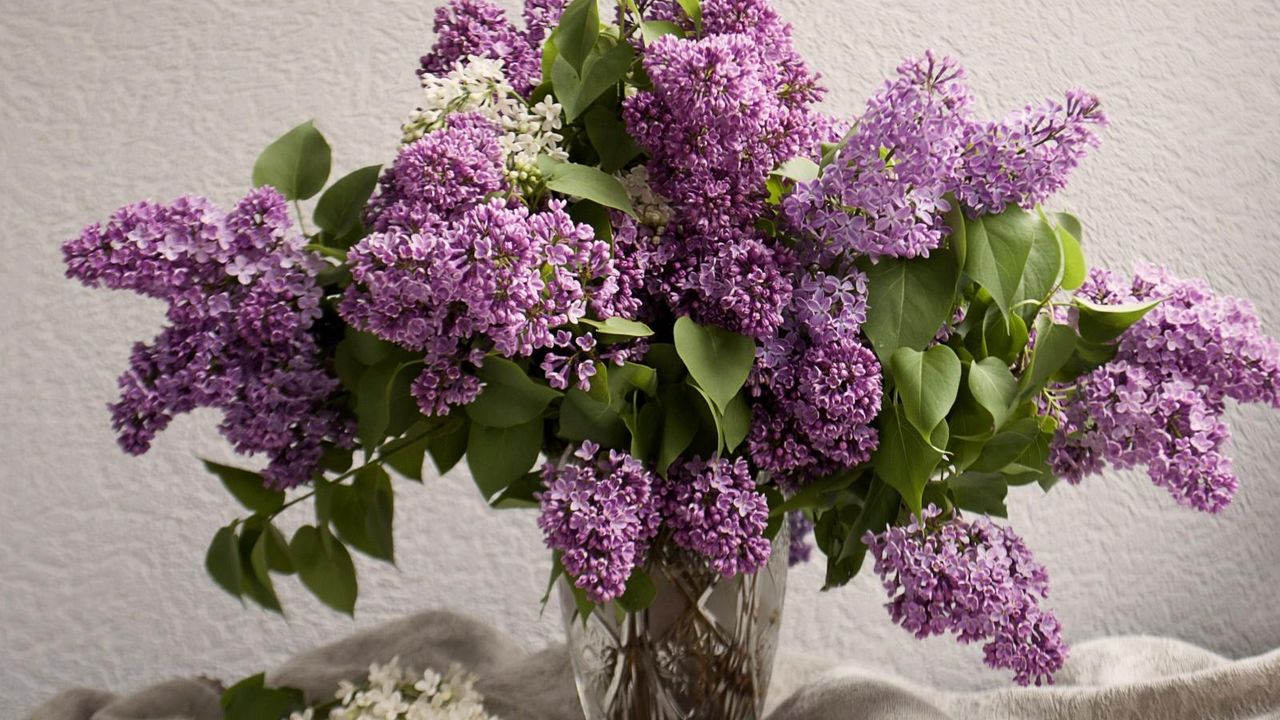 Wallpaper lilacs, bouquet, vase, spring, mood