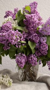 Preview wallpaper lilacs, bouquet, vase, spring, mood