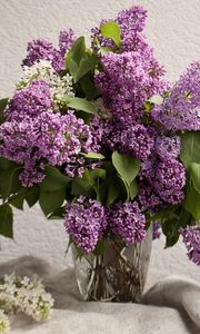 Preview wallpaper lilacs, bouquet, vase, spring, mood