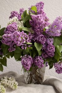 Preview wallpaper lilacs, bouquet, vase, spring, mood