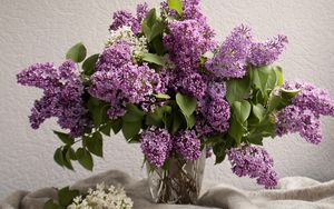 Preview wallpaper lilacs, bouquet, vase, spring, mood