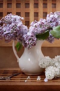 Preview wallpaper lilacs, twigs, pitcher, bench, scissors