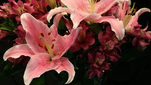 Preview wallpaper lilies, alstroemeria, flowers, bouquet