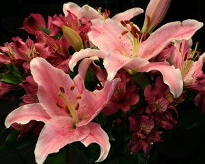 Preview wallpaper lilies, alstroemeria, flowers, bouquet