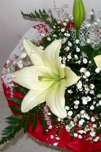 Preview wallpaper lilies, babys breath, fern, flower, decoration