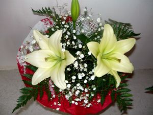 Preview wallpaper lilies, babys breath, fern, flower, decoration